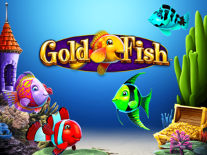 Gold Fish Hero