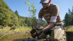 Man plants tree in river bed