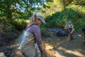 women cleaning watershed with filtering nets