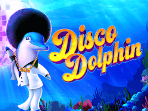 Disco Dolphin Hero