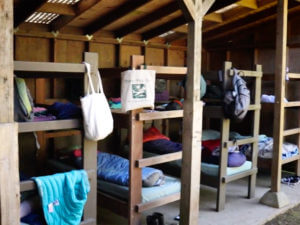 bunks in a cabin