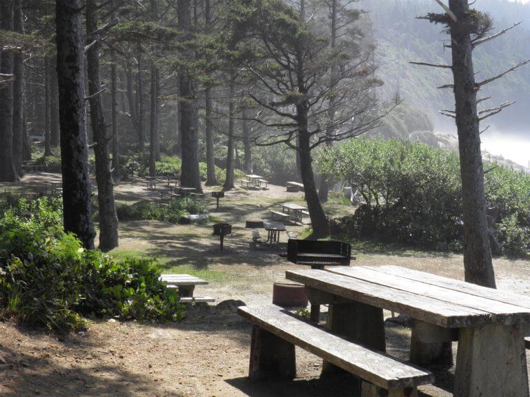 Cape Lookout State Park picnic area