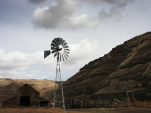 Windmill and barn, Cottonwood Canyon