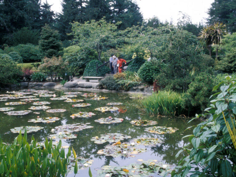 Shore Acres State Park water garden