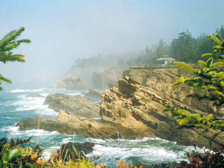 Cliffs at Shore Acres State Park