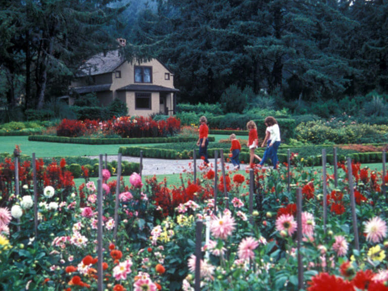 Gardens at Shore Acres State Park