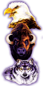 Buffalo foreground tout image