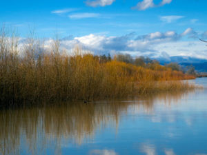 River scene at Bowers Rock