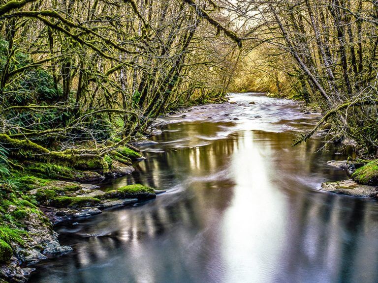 A creek in Oregon