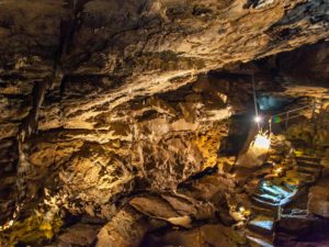 Stairs into Oregon Caves