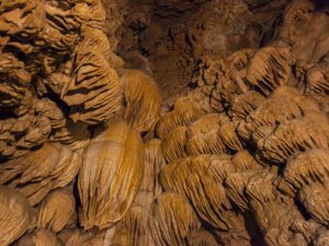 Ceiling of Oregon Caves