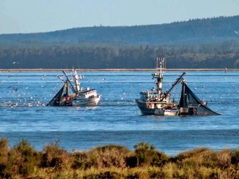 Fishing boats off Astoria