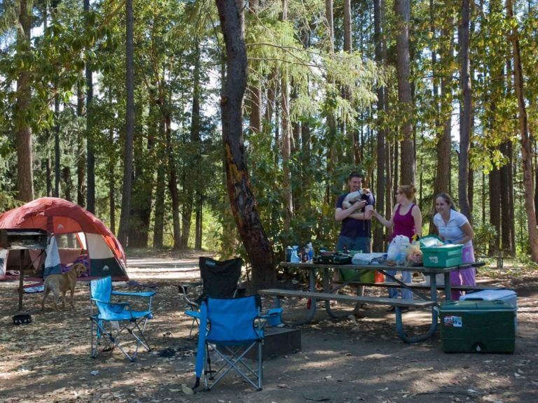Campsite at Joseph Stewart State Park