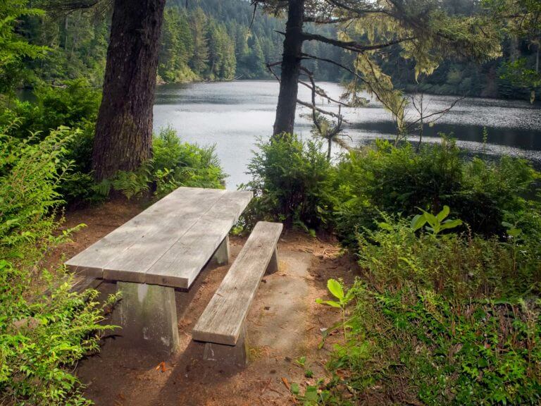 picnic table in Umpqua Lighthouse State Park
