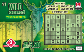 Wild Crossword front