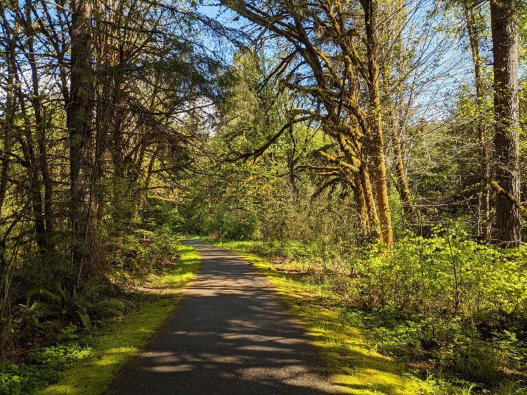 Banks-Vernonia State Trail