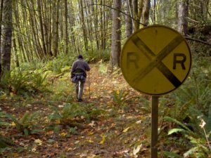 Hiker on the Banks-Vernonia State Trail