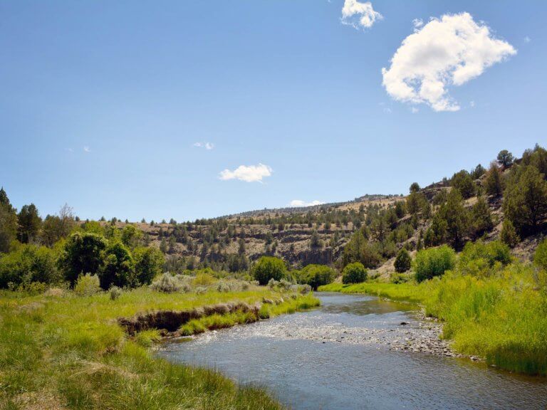 River scenery at Steens Mountain