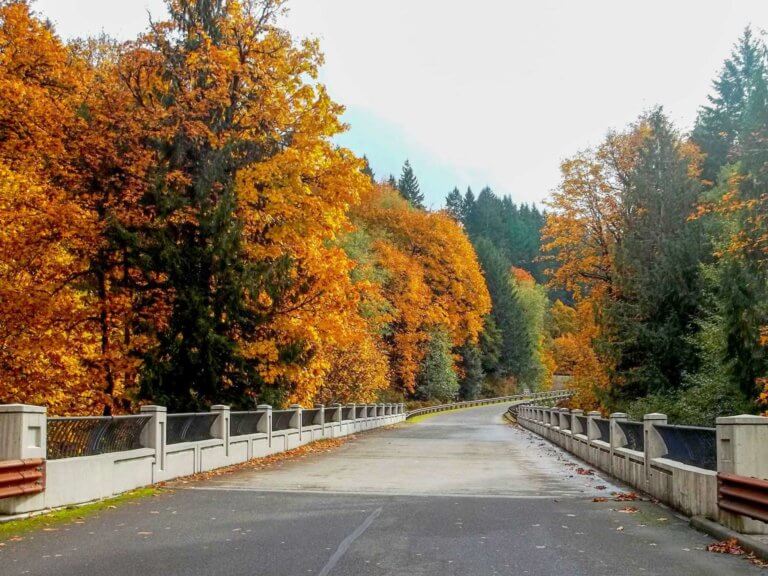 Autumn foliage at L.L. Stub Stewart State Park