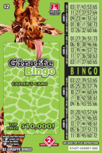 Giraffe Bingo front