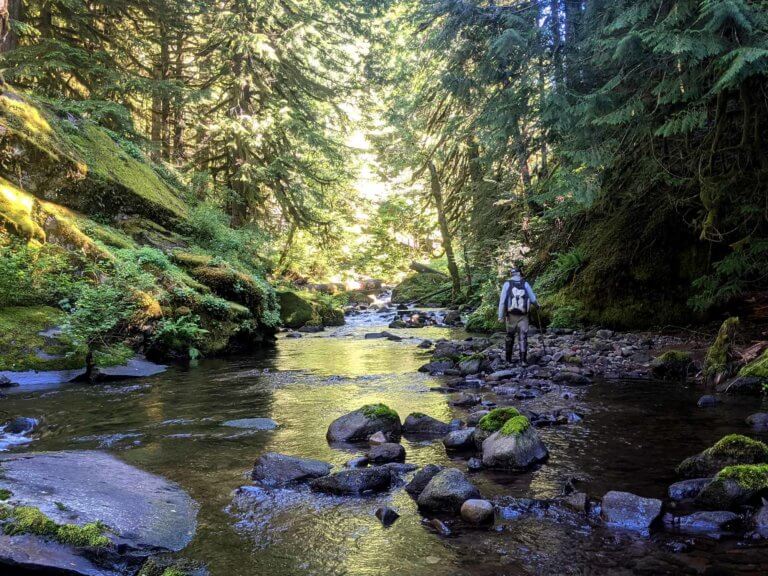 Person in waders and hiking gear walking along rocks protruding from a shallow river in a forested area