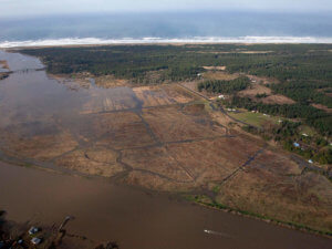 Aerial shot of tidal wetlands with sprawling marshland