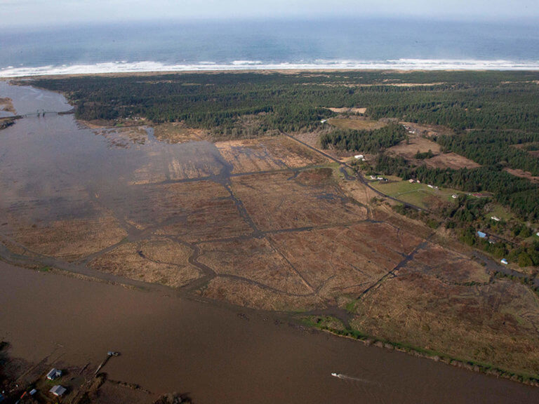 Aerial shot of tidal wetlands with sprawling marshland