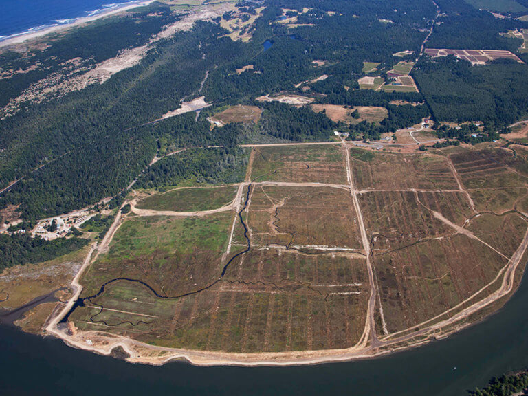 View of tidal marshland from far overhead