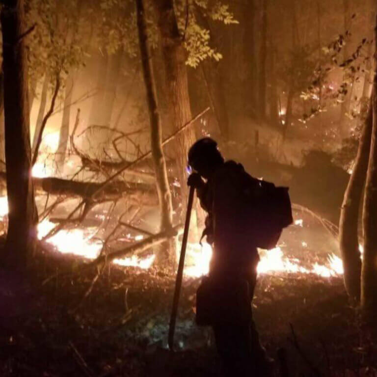 Firefighter silhouetted against smoldering forest fire branches