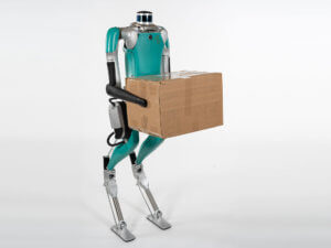 Standing robot holding box