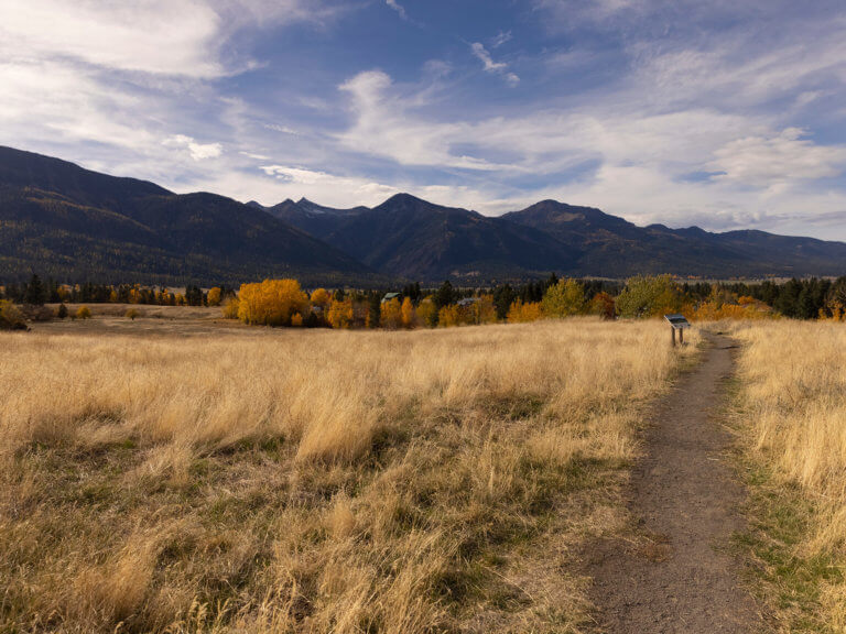 A trail through grasslands with mountains in the distance