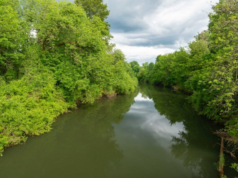 Luckiamute River at Sarah Helmick State Park