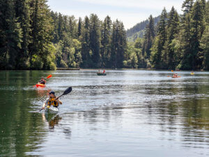 Kayakers in the Clackamas near Milo McIver State Park