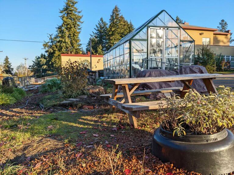 A picnic table and greenhouse in a school garden