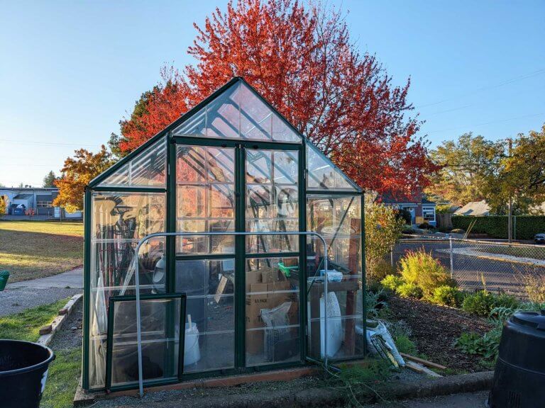 A greenhouse in a school garden
