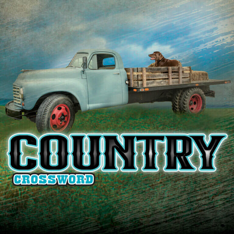 Country Crossword Tile