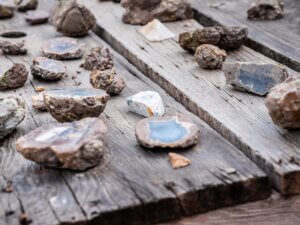 Fossils displayed on an outdoor table at Camp Hancock