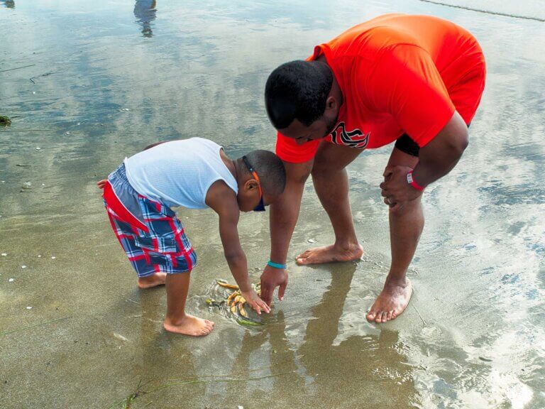 A father and son examine a crab on the beach