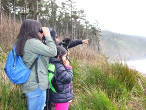 A small group looks out over the ocean