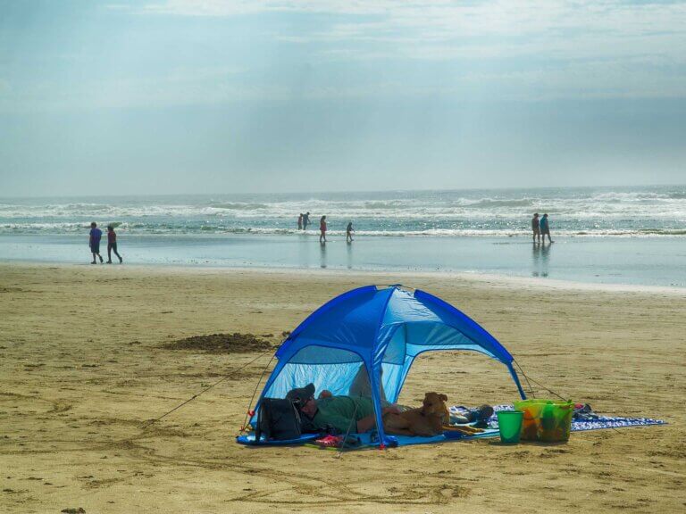 A tent shelters a man and dog on the beach