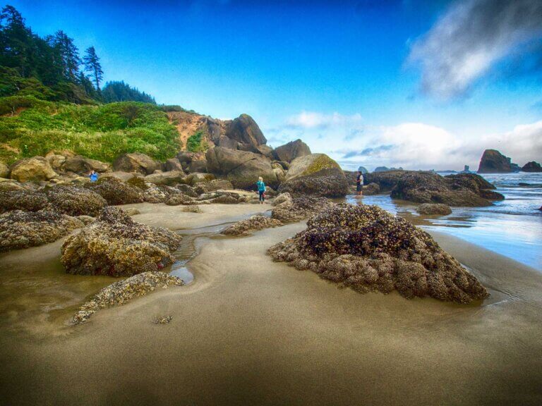 Two people explore tidepools under a blue sky