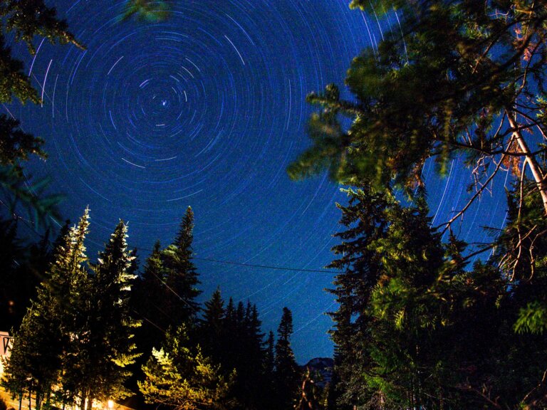 Stars in a night sky over an Oregon forest