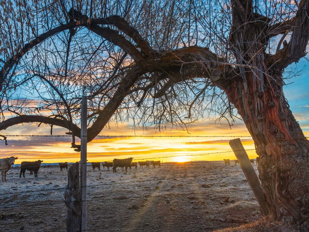 Harney Basin Wetlands - Balancing Needs | Oregon Lottery