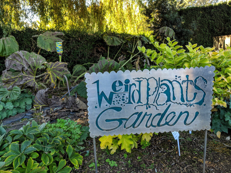 Weird Plants Garden at Oregon Garden