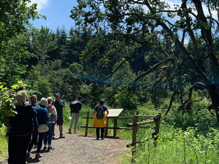 Oregon white oak grove at the Oregon Garden