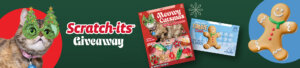 Header tout - Holiday 2023 - Giveaway