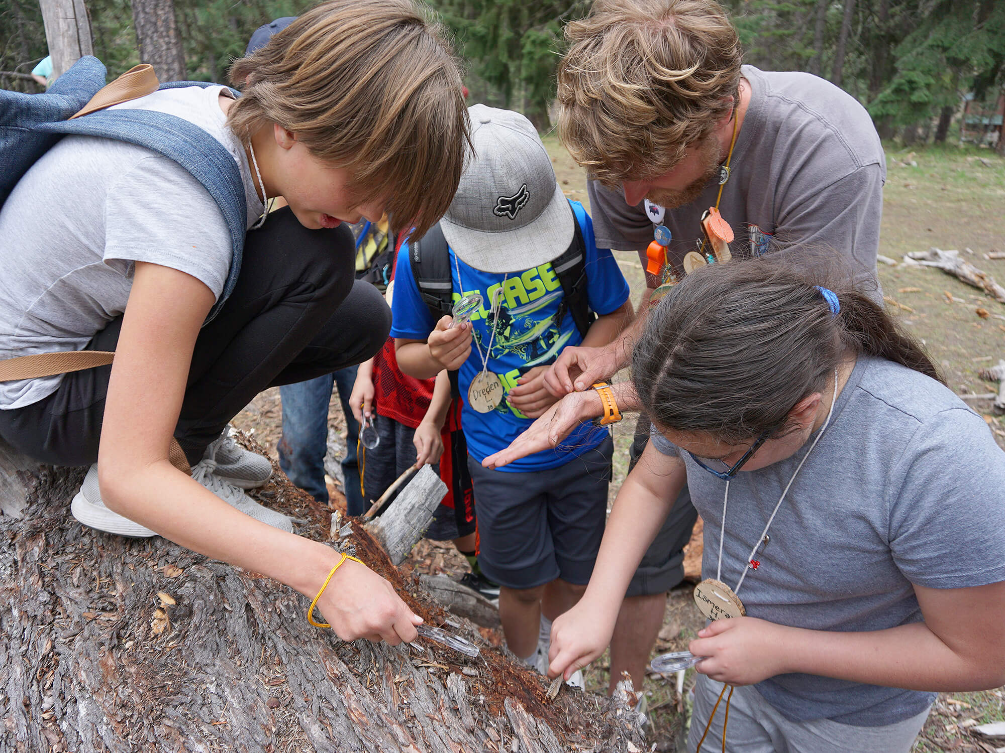 Children examine tree bark during a science lesson