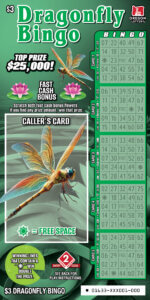 Dragonfly Bingo front