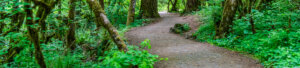 State Parks Adventures tout