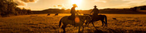 Cowboy Crossword tout